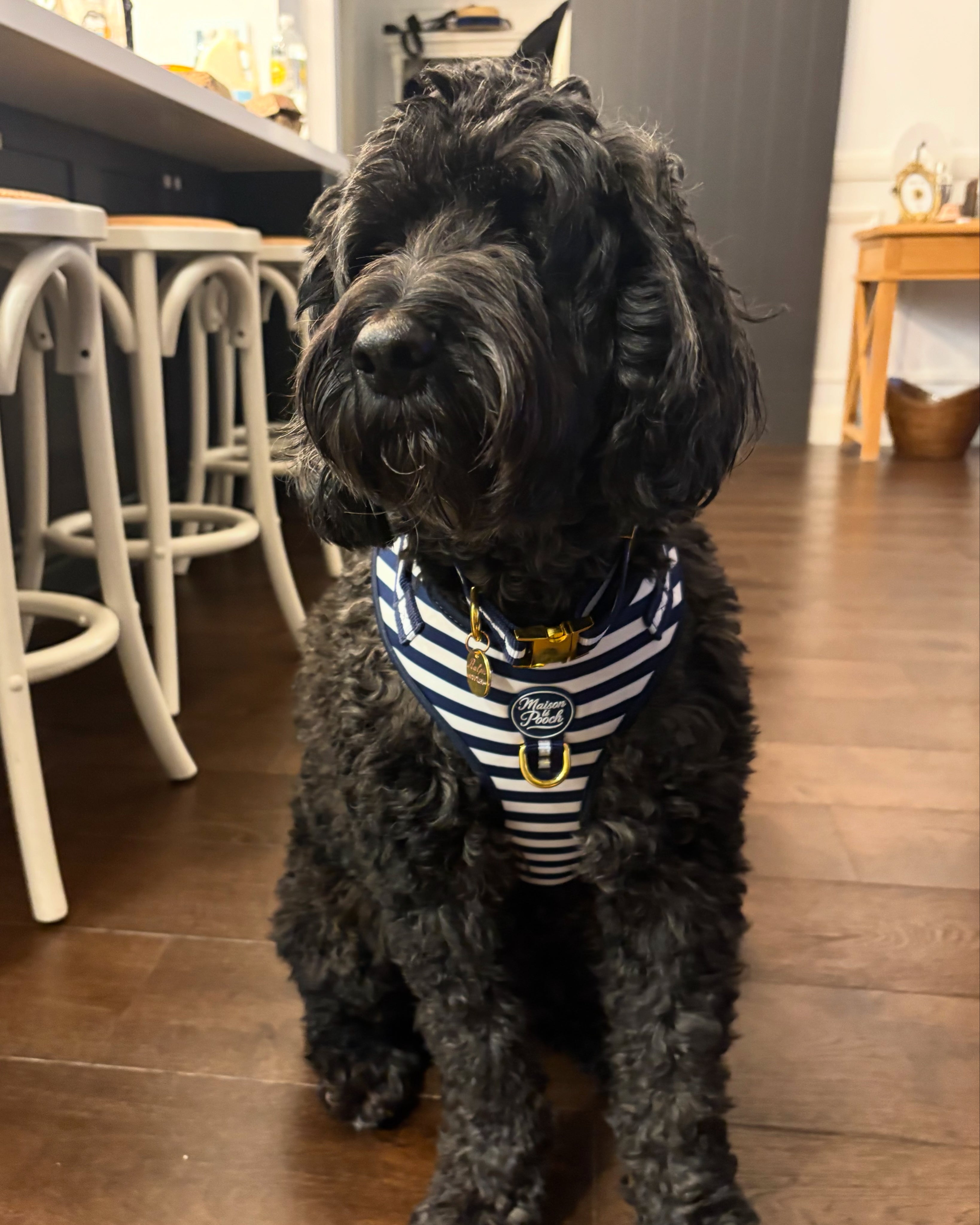 Signature - Oxford Harness