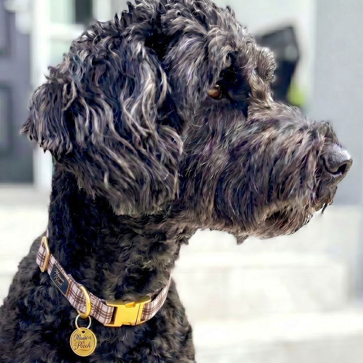 Plaid Collection - Chocolate Cream Adjustable Collar