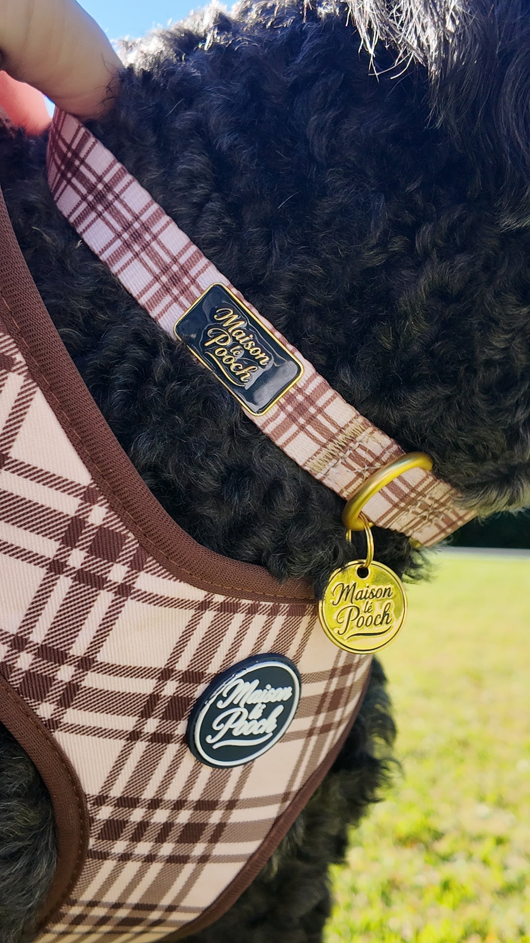 Plaid Collection - Chocolate Cream