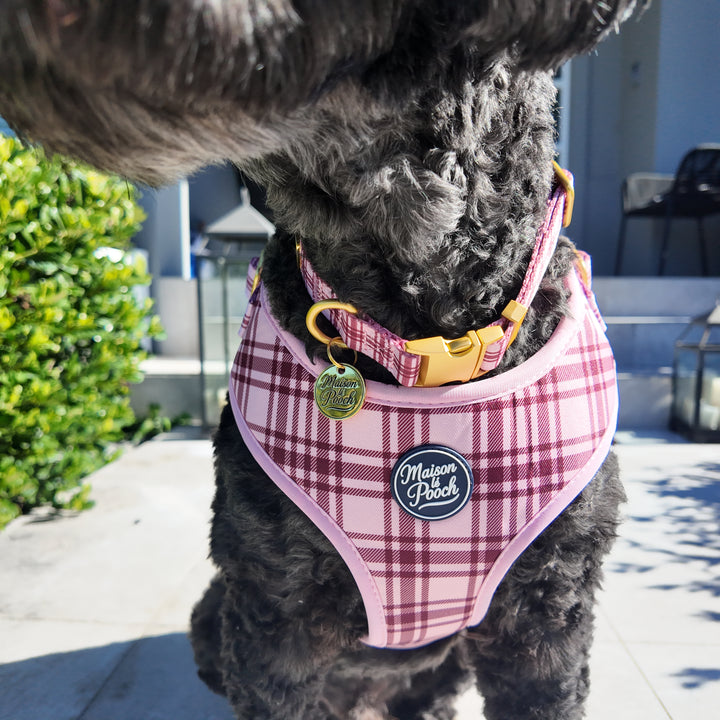 Plaid Collection - Pink Mulberry