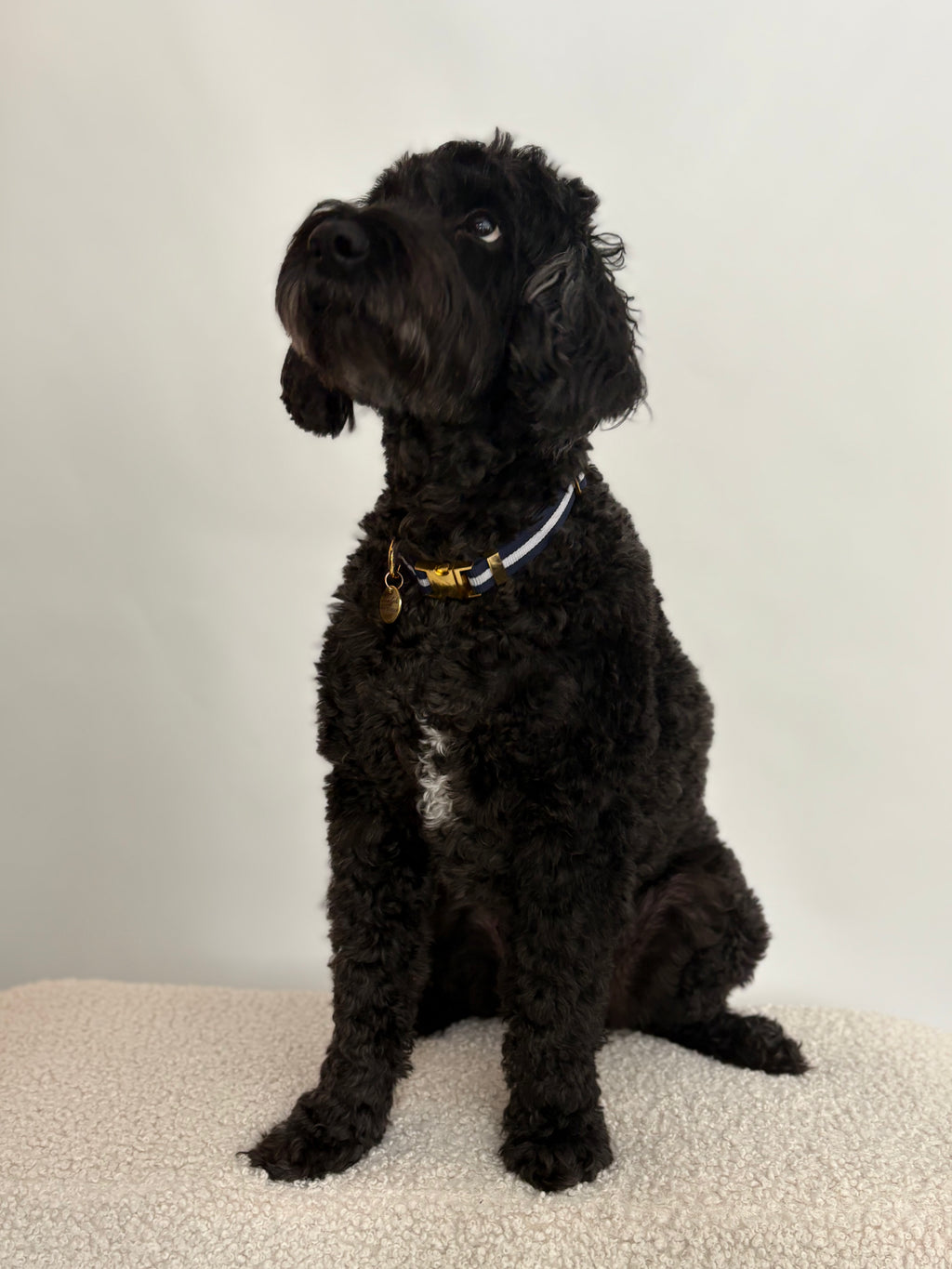 Signature - Oxford Harness