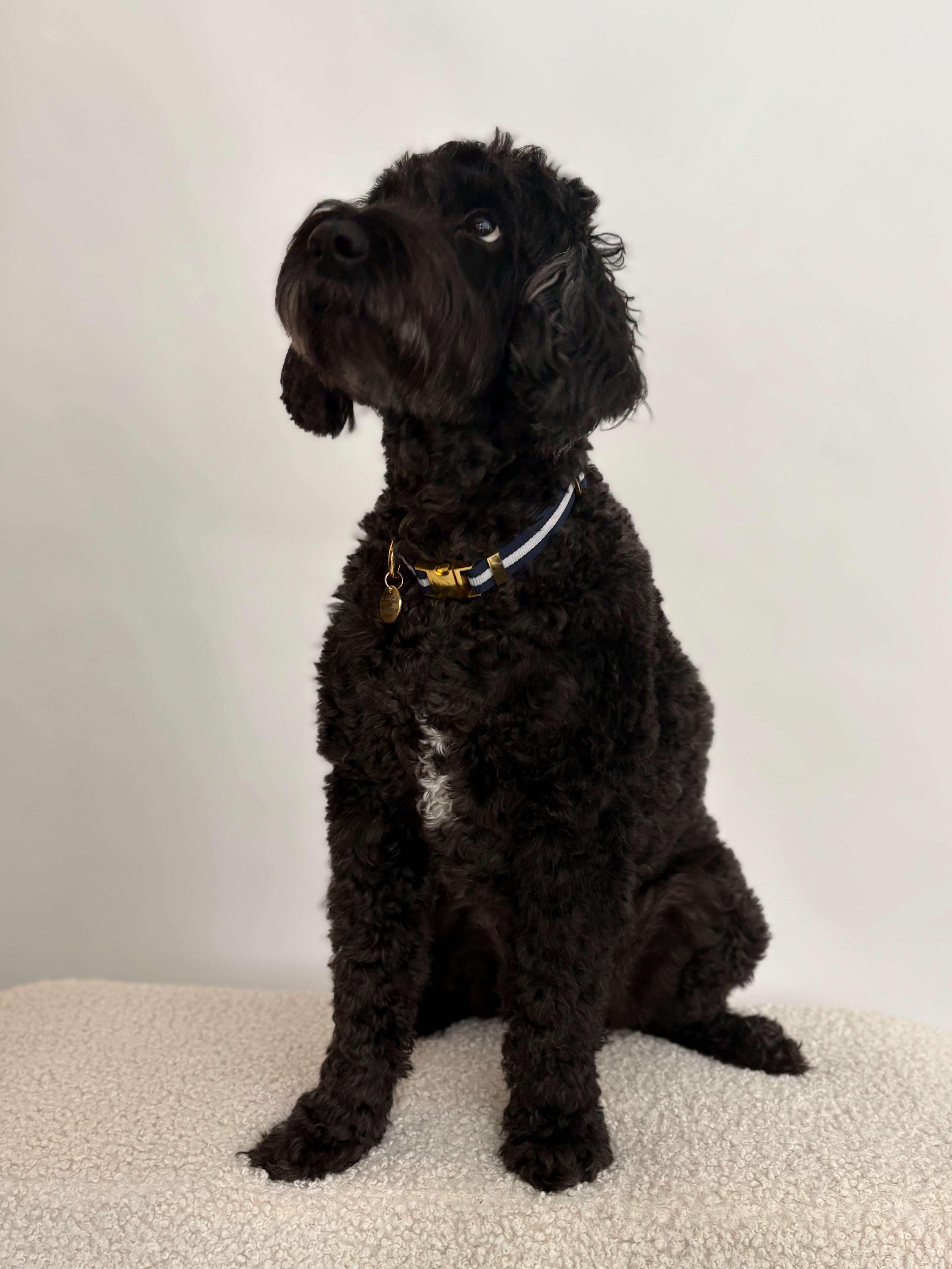 Signature - Oxford Harness