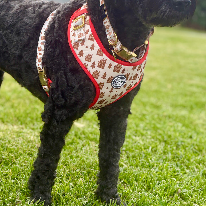 Gingerbread House Adjustable Collar