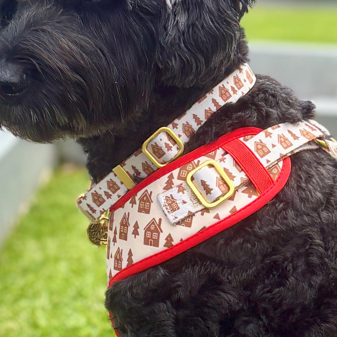 Gingerbread House Adjustable Collar