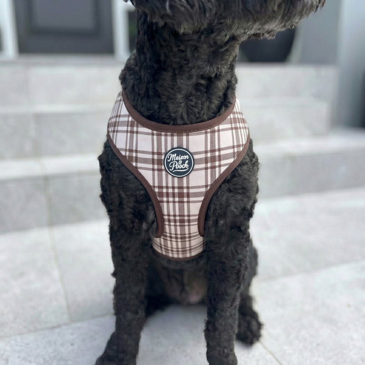 Plaid Collection - Chocolate Cream