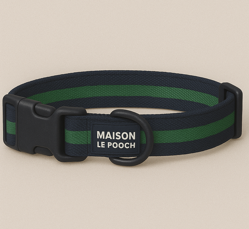 Signature - Oxford Collar