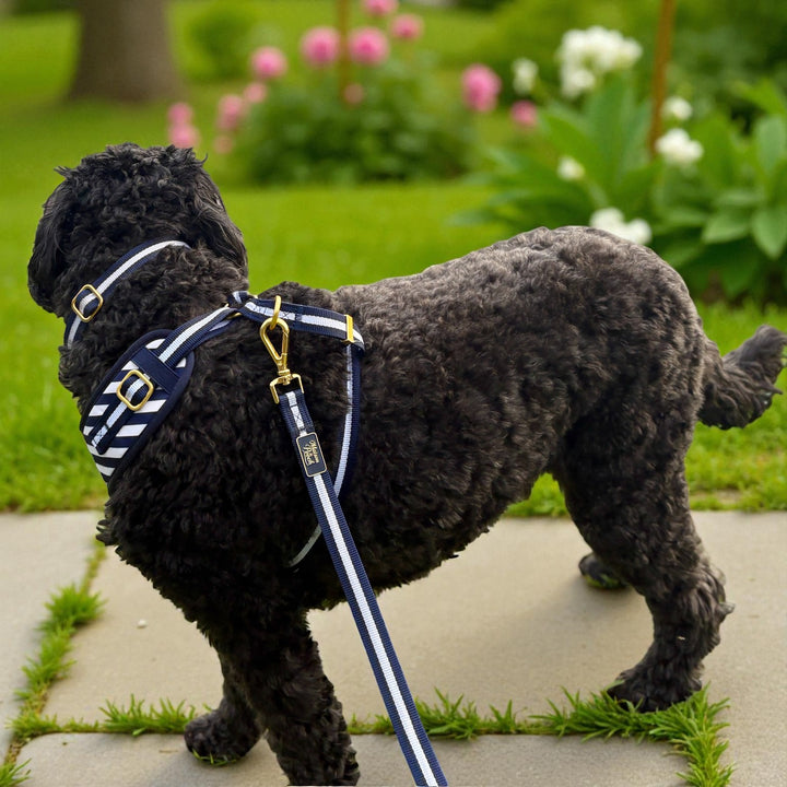 Signature - Ink Leash