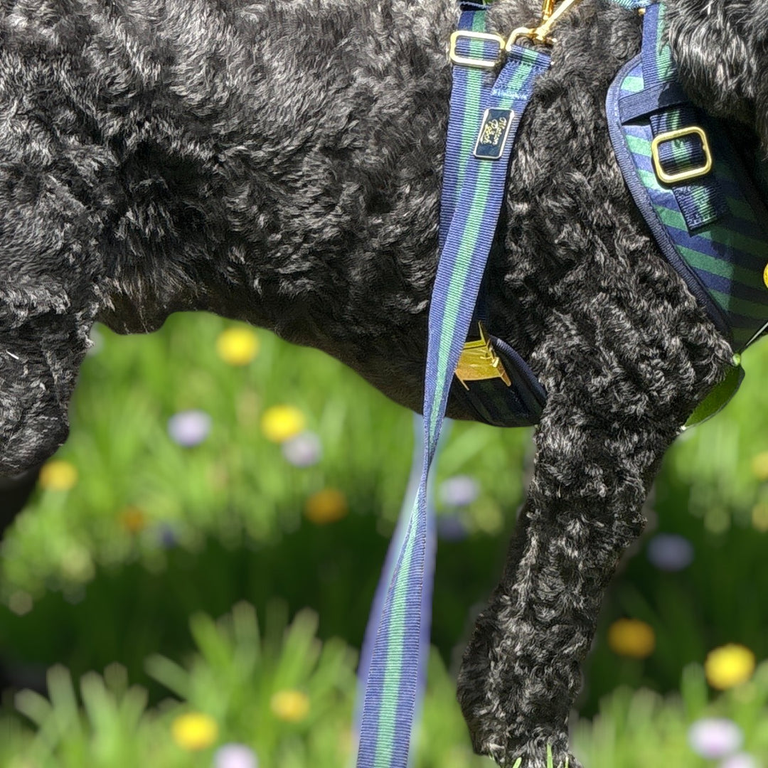 Signature - Oxford Leash