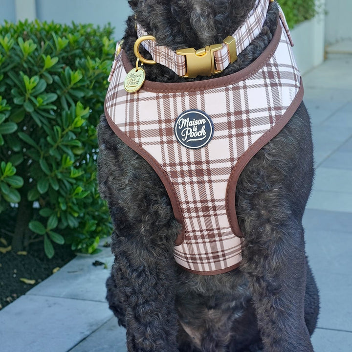 Plaid Collection - Chocolate Cream Adjustable Collar