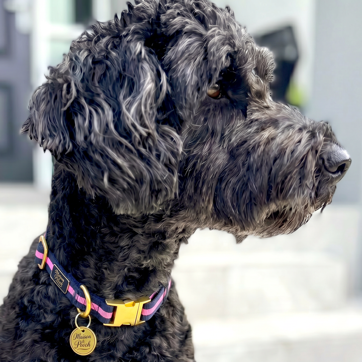 Signature - Rosé Adjustable Collar