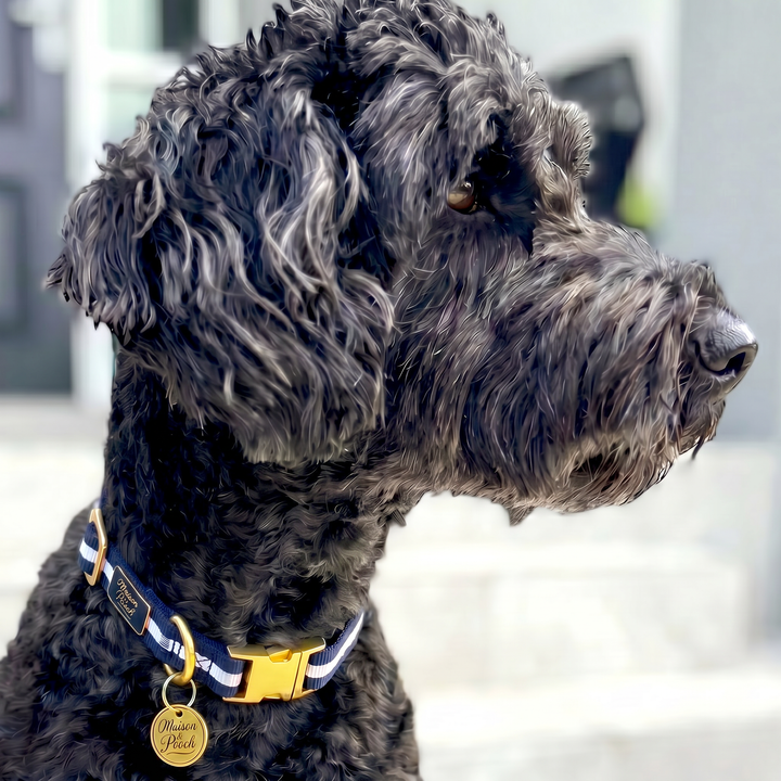 Signature - Ink Adjustable Collar