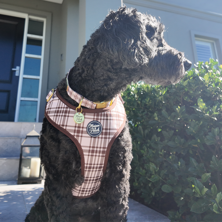 Plaid Collection - Chocolate Cream Adjustable Collar