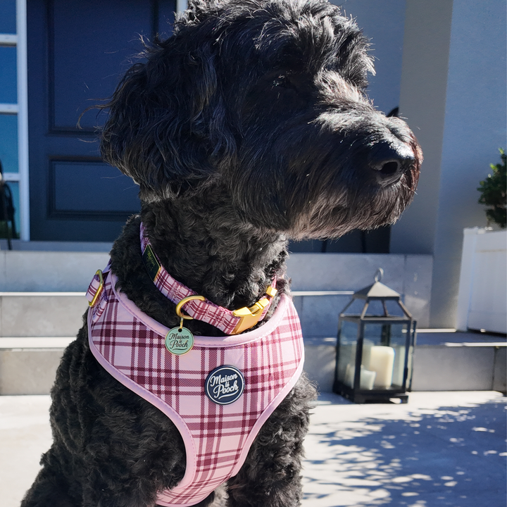 Plaid Collection - Pink Mulberry Adjustable Collar