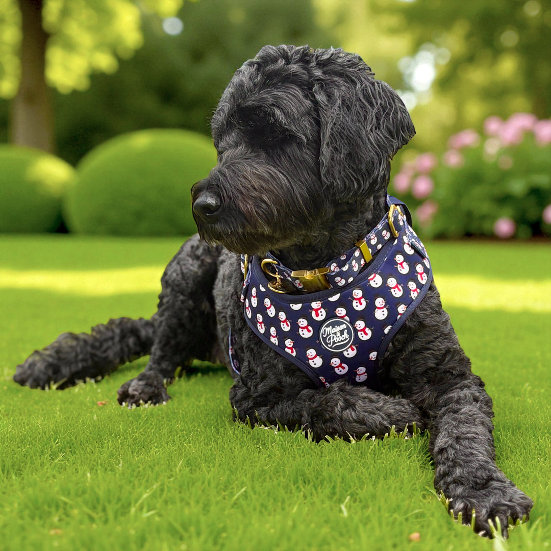 Snowman Adjustable Harness