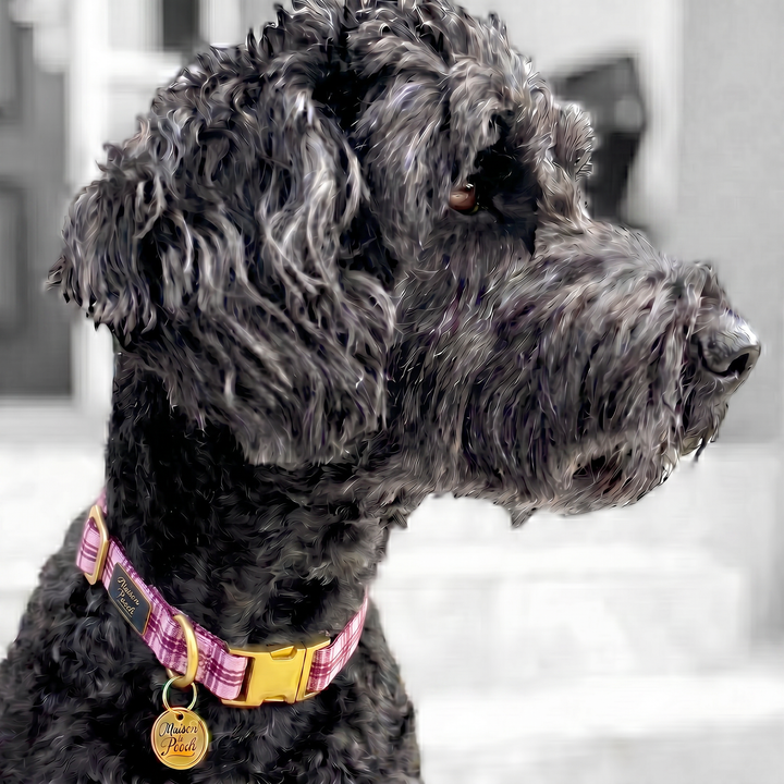 Plaid Collection - Pink Mulberry Adjustable Collar