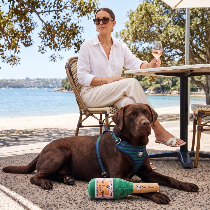 Woof Clicquot Rose' Champagne Bottle