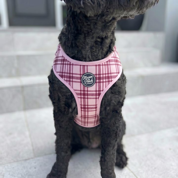 Plaid Collection - Pink Mulberry