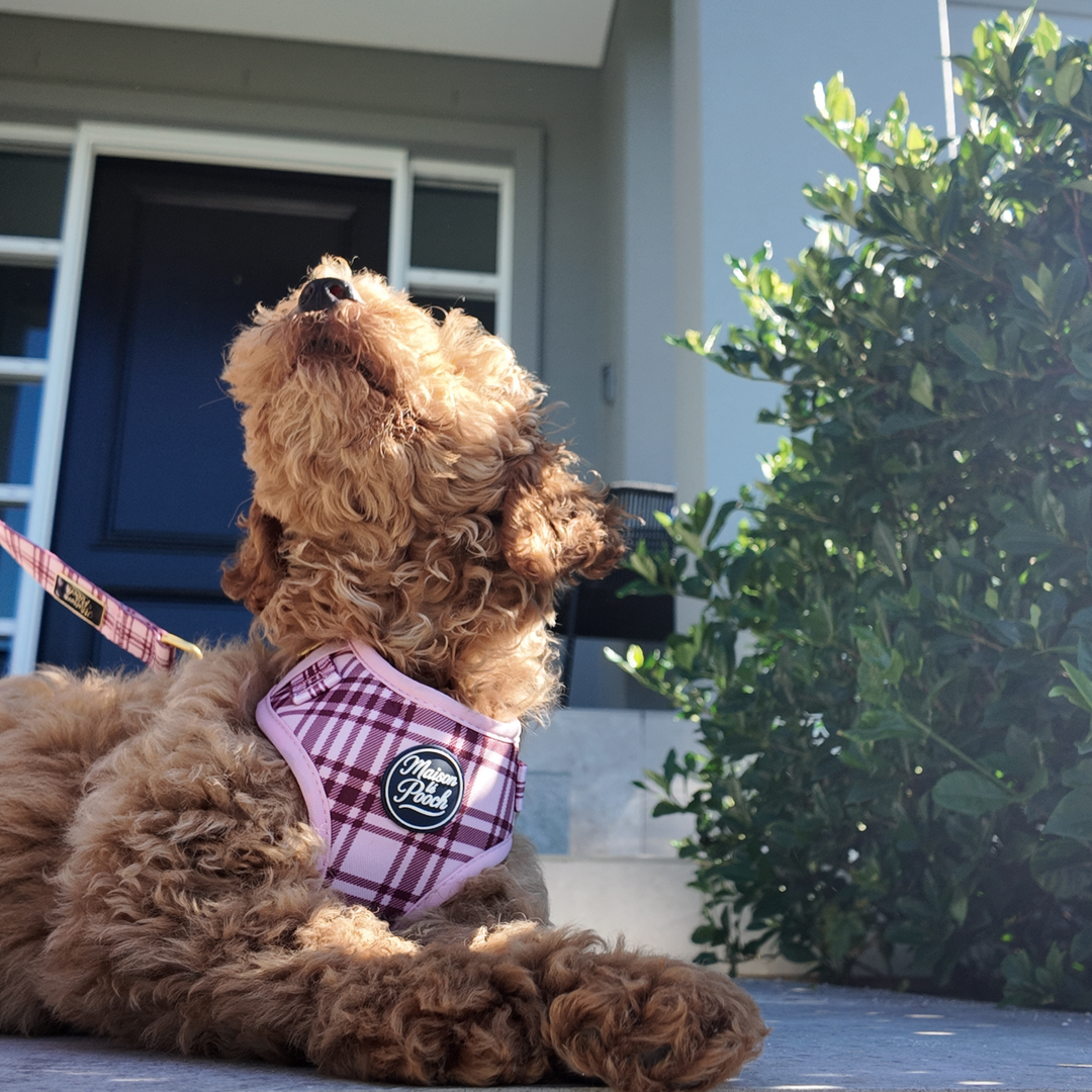 Plaid Collection - Pink Mulberry