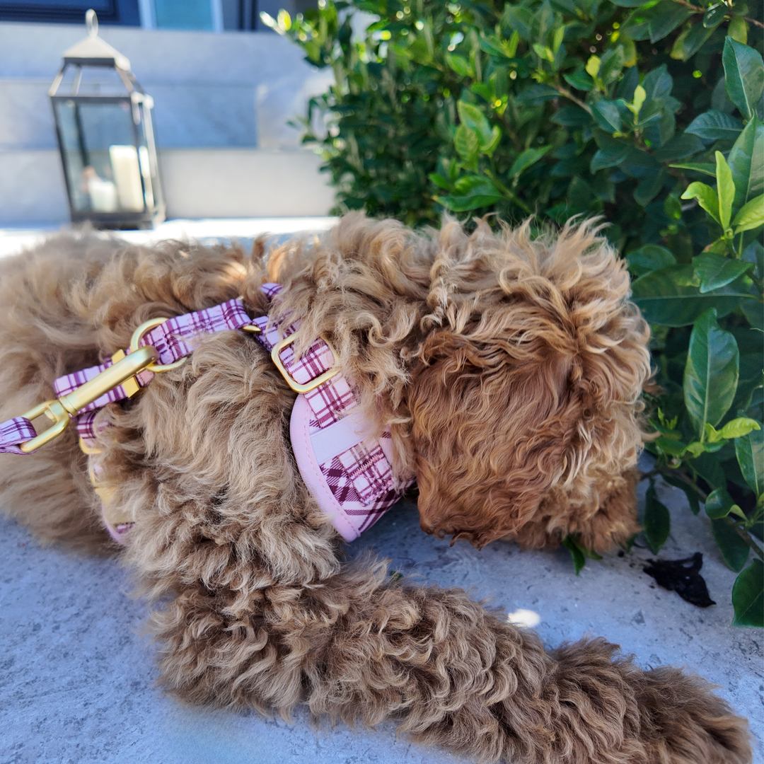 Plaid Collection - Pink Mulberry